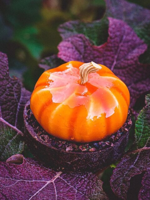 Pâtisserie Ludwig auf Instagram